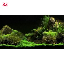 3D Foresta Pesce Serbatoio Sfondo Adesivo Auto Paesaggio Acquario Decorazione