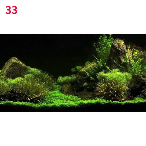 Adesivo foresta pesci - adesivo, 3d