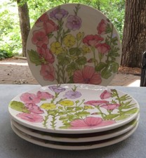 QUATTRO Piatti Pranzo