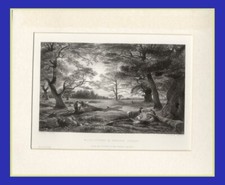 Taglio del bosco - bosco, di