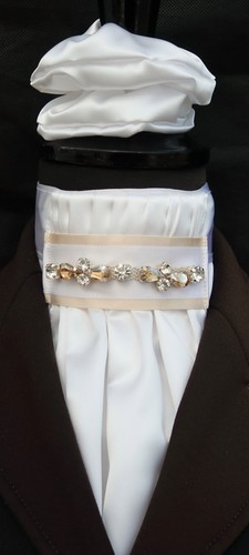 Stock dressage bavaglino - ,