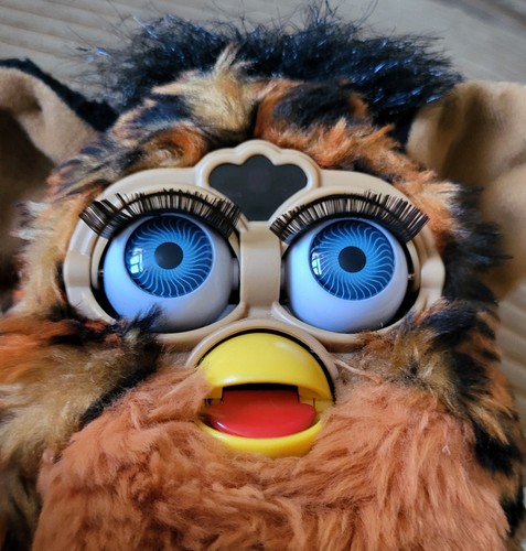 Ghepardo furby stampa - ghepardo,