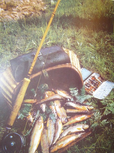 Creel pesca pesce - creel, da