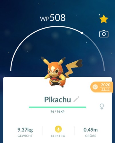 Pokemon wrestling pikachu - pikachu, /