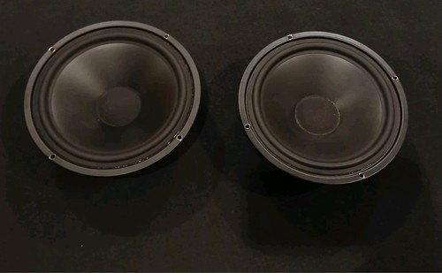 Coppia woofer altoparlanti