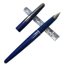 Penna stilografica PLATINUM