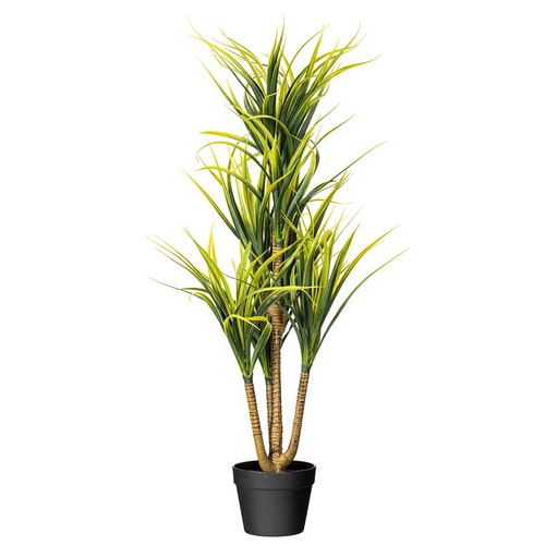 yucca pianta artificiale