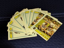 1980-81 JUVENTUS Calciatori