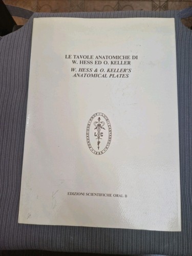 Tavole anatomiche walter - le, di