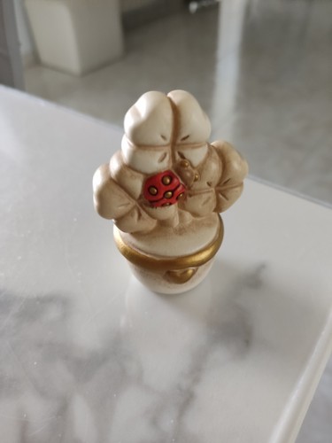 Pianta thun piantina - ,