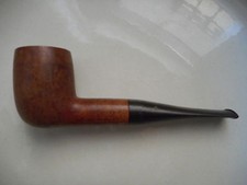 PIPA GOLDEN GNOME BREBBIA 1001