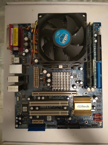 Scheda madre asrock - scheda,