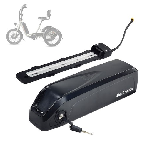 48v hailong battery - hailong, for
