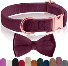 Collare cane papillon - papillon,