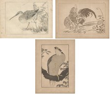 Stampe antiche SERIE 3 FOGLI STILE GIAPPONE UCCELLI falco 1885 Antique prints
