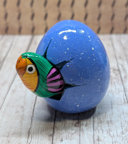 Tonala mexico hatchling baby - tonala,