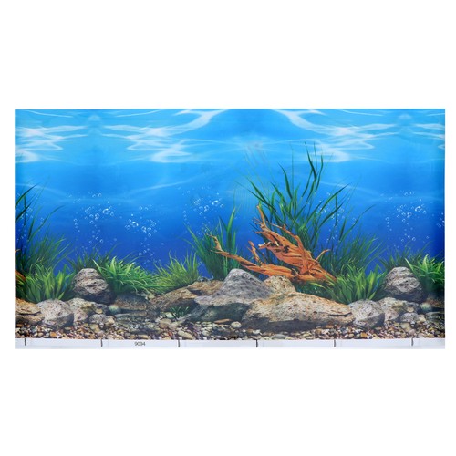 Sfondo acquario adesivo - acquario,