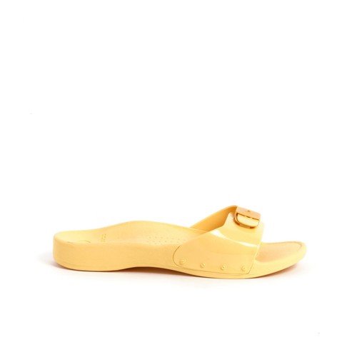 Scholl sun - sun,
