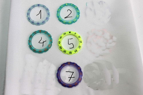 Ghiera orologio swatch scuba - ghiera,