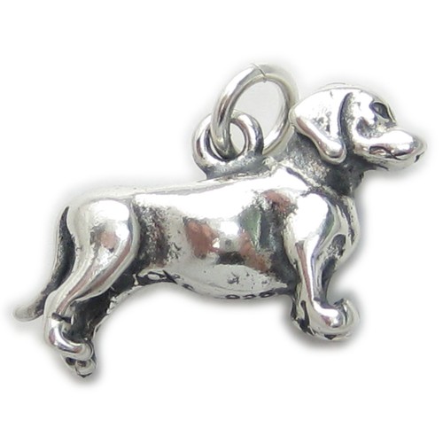 Ciondolo argento sterling - argento,