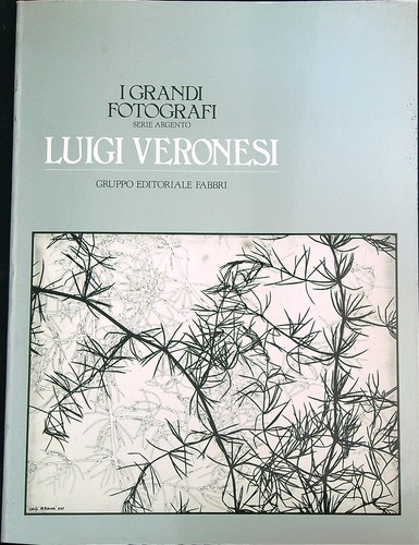 Luigi veronesi fabbri - veronesi,