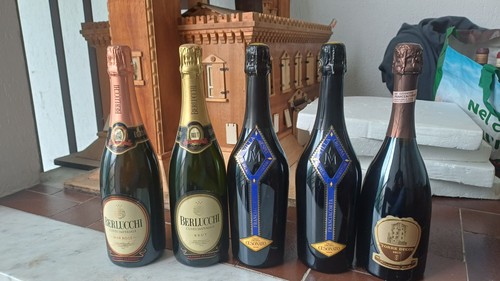 Franciacorta berlucchi max