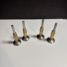 Hepolite Valves & Guide Set