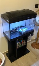 acquario completo usato 60x32x50 Completo Di Mobiletto Come Nuovo