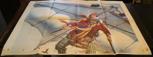 Gigantografia manolesta - gigantografia,