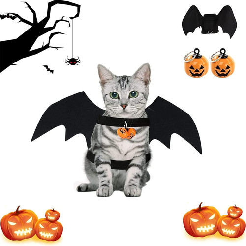 Ali pipistrello halloween - ali,