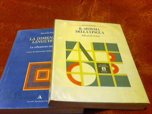 Sistema della lingua - il,
