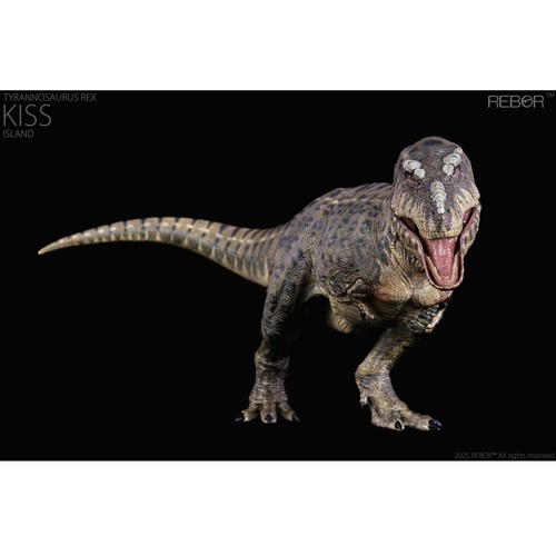 Rebor tyrannosaurus rex - rebor,