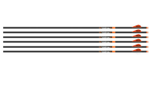 Easton 829467 frecce bowhunter - 829467,