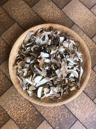 Funghi porcini secchi - funghi,