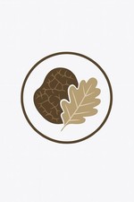 Tartufo fresco stagionale - tartufo,