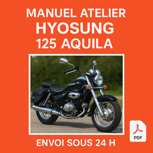 Manuel atelier hyosung - manuel, 125