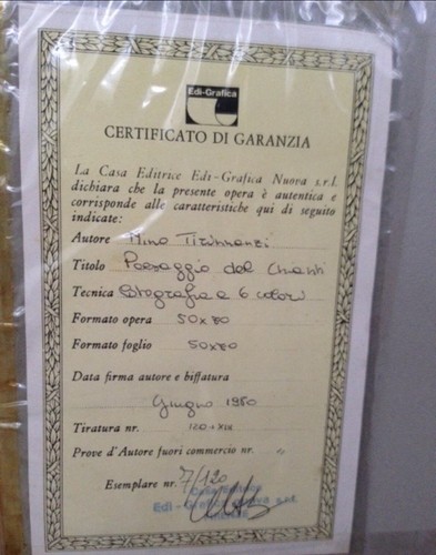 Nino tirinnanzi paesaggio del - paesaggio,