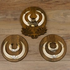 Wildschweinwaffen (Sus Scrofa)