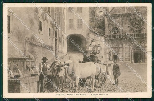 Perugia assisi carro buoi - carro,