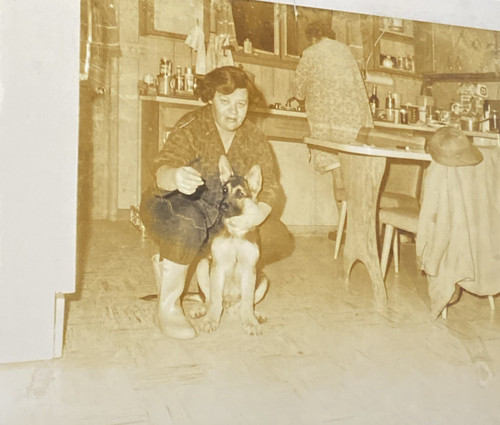 Scena cucina anni - 60, donna