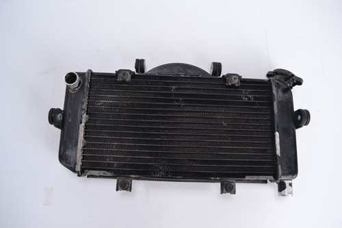 Radiatore yamaha tdm 900 - radiatore,