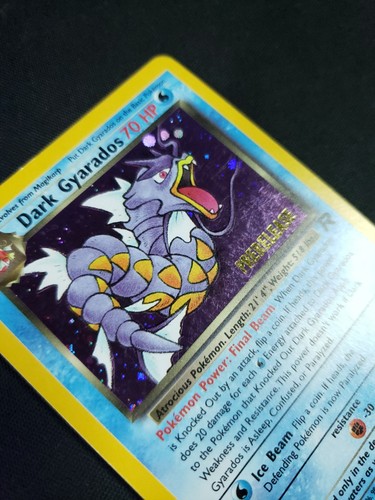 Dark gyarados - dark,