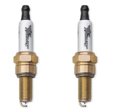 Harley Davidson Screamin'