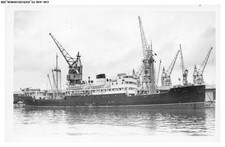 CAR-AHGP3-0115-CARGO - Celio - 1966 - Foto Beaudelaire Marsiglia