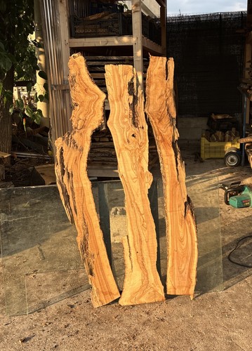 Tavole legno ulivo - tavole,