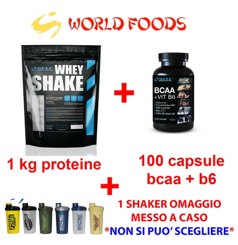 Kit whey shake proteine - kit, 1