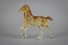 Foal Vanner zingaro in rovere
