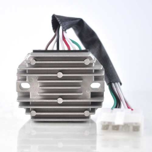 Regolatore raddrizzatore per