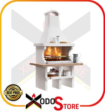 Barbecue a legna carbonella