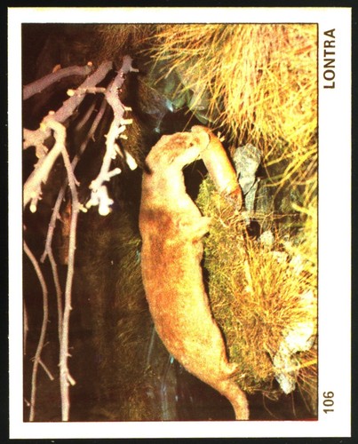 Mondo degli animali - mondo, (1970)